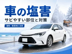 車が塩害被害にあった場合の原因と対策
